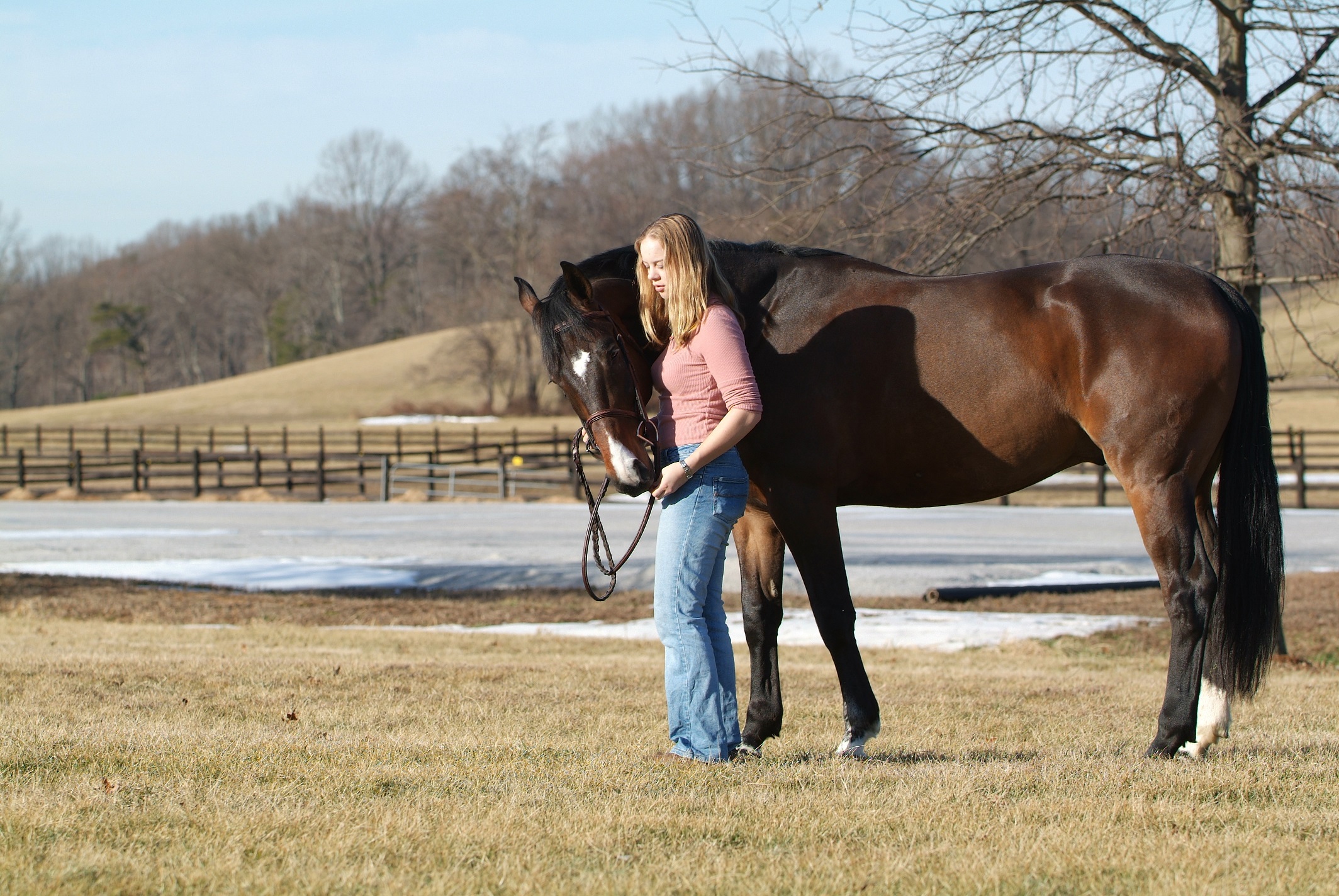Where people with a passion for horses come together - Maryland Equestrian Farms.